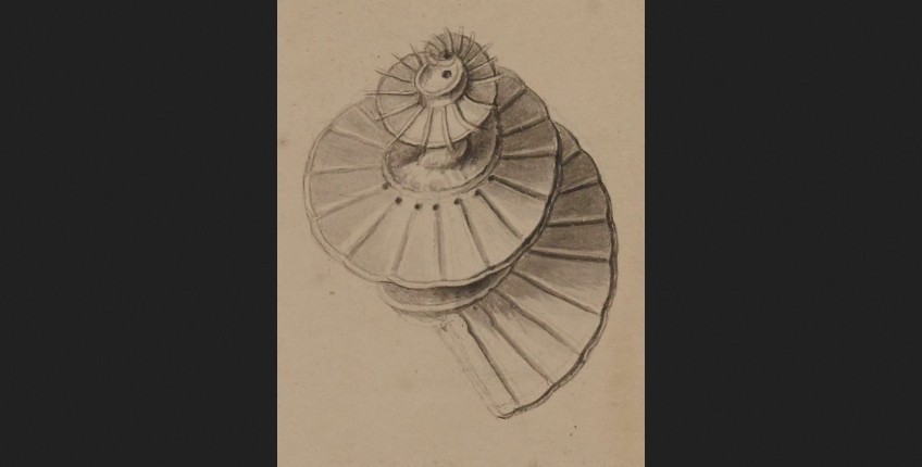 Drawing of a spiral