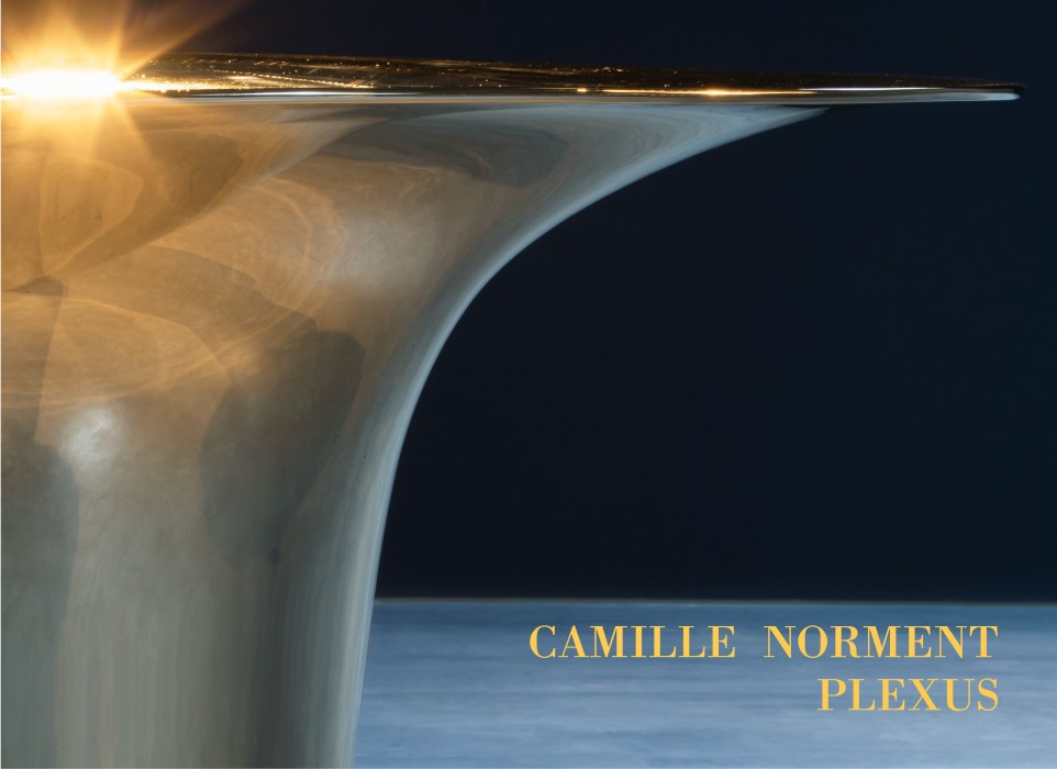 Camille Norment - Plexus launch poster