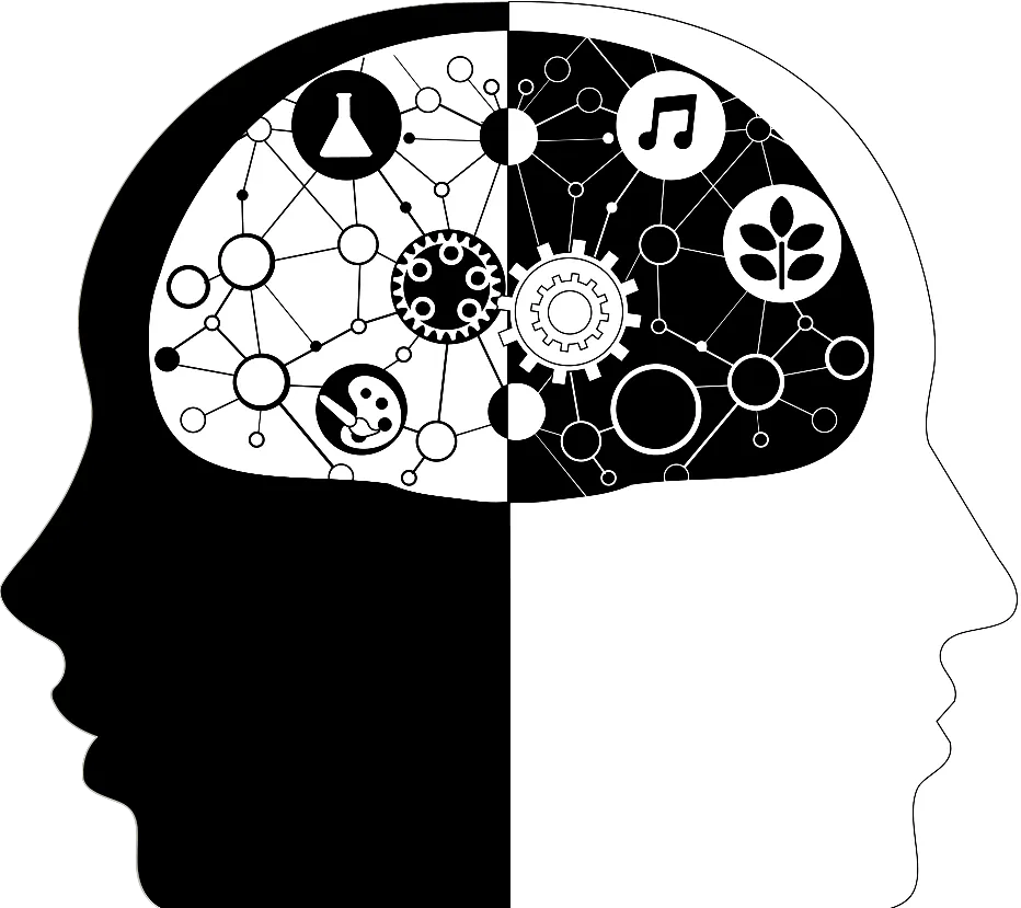 Picture of two heads sharing a brain