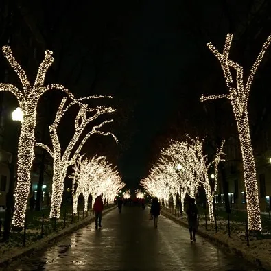 Picture of college walk